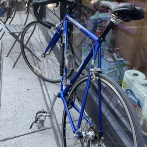Trek 1200 Blue and Black