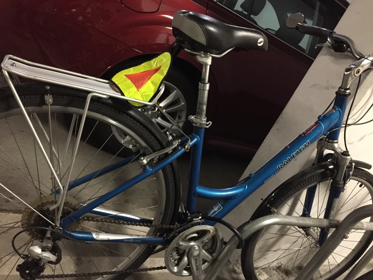 2007 Raleigh Passage 4.0