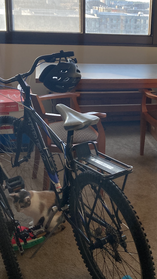 Bike photo