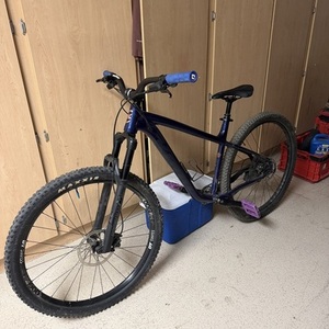 2019 Specialized Rockhopper Yellow or Gold