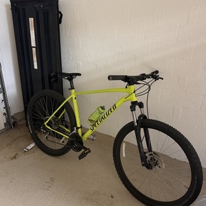 2019 Specialized Rockhopper Yellow or Gold
