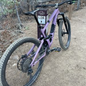 2020 Specialized Enduro Purple and Pink