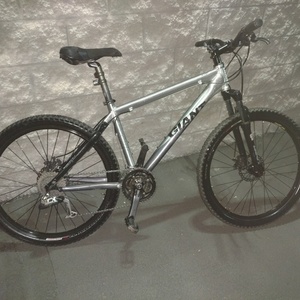 Giant Xtc2 Silver or Gray and Black