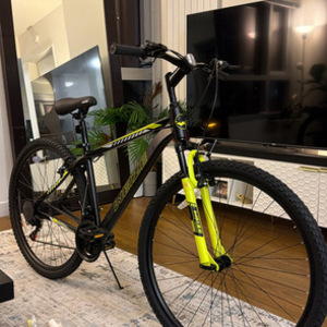2024 Weize WEIZE Hardtail (or WEIZE 29") Black