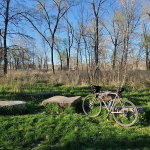 2023 Surly Midnight Special Purple