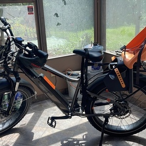 2023 Rad Power Bikes RadRover 6 Plus High-Step Silver, gray or bare metal