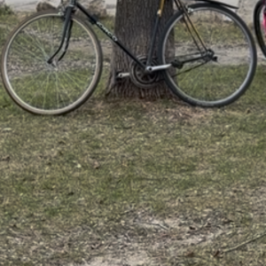 2026 Norco Bikes Black