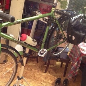 1992 Specialized Stumpjumper Green