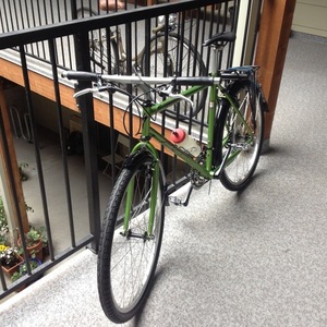 1992 Specialized Stumpjumper Green