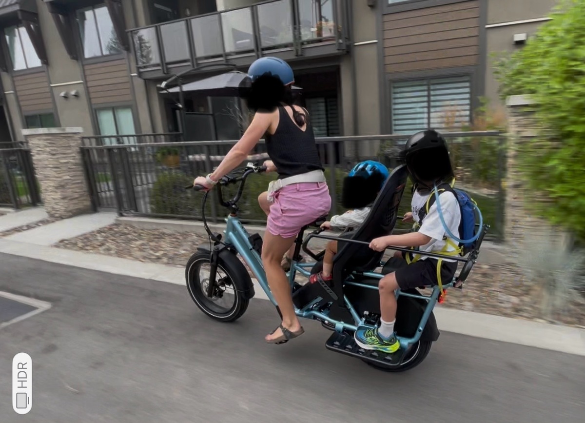 Cargo Bike Rear photo