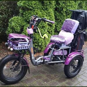 2025 Meet One Breeze Pro tricycle Silver, gray or bare metal, Purple, and Green