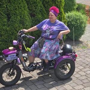 2025 Meet One Breeze Pro tricycle Silver, gray or bare metal, Purple, and Green