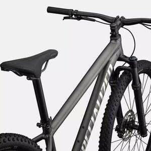 2024 Specialized Rockhopper Expert Silver, gray or bare metal