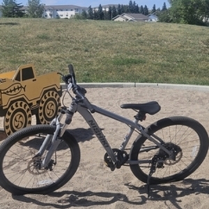 2026 Nishiki Youth 24" Colorado mountain bike Silver, gray or bare metal