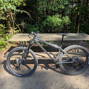 2024 Transition Bikes TransAm Silver, gray or bare metal