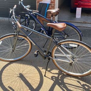 Schwinn Addison Silver, gray or bare metal