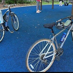 Schwinn Addison Silver, gray or bare metal
