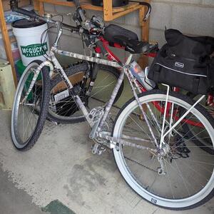 1989 Diamondback Apex Purple