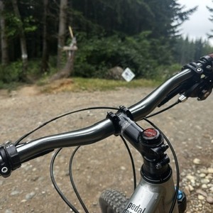 2013 Niner Jet 9 Silver, gray or bare metal