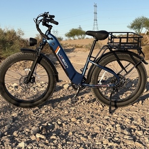 2026 Heybike Jasion Thunder Black and Silver, gray or bare metal