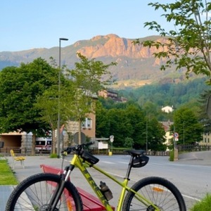 2024 Trek Marlin 5 gen 3 Green