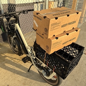 2025 Specialized Globe Haul ST cargo bike rear White