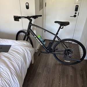 Trek FX 2 Black