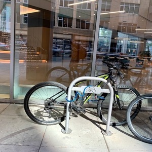 2016 Specialized Rockhopper Black and Green