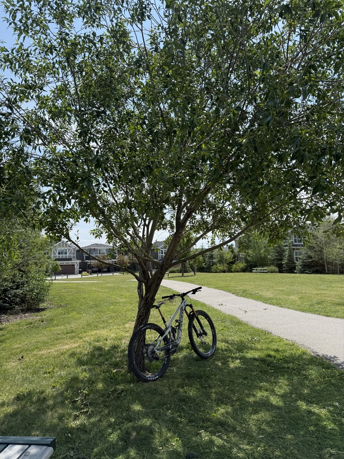 Bike photo