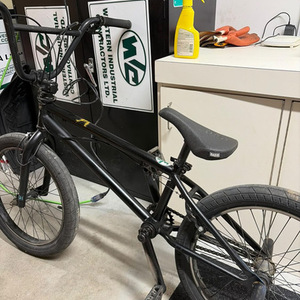 2019 Radio 20" Gyro Velo Freestyle Black