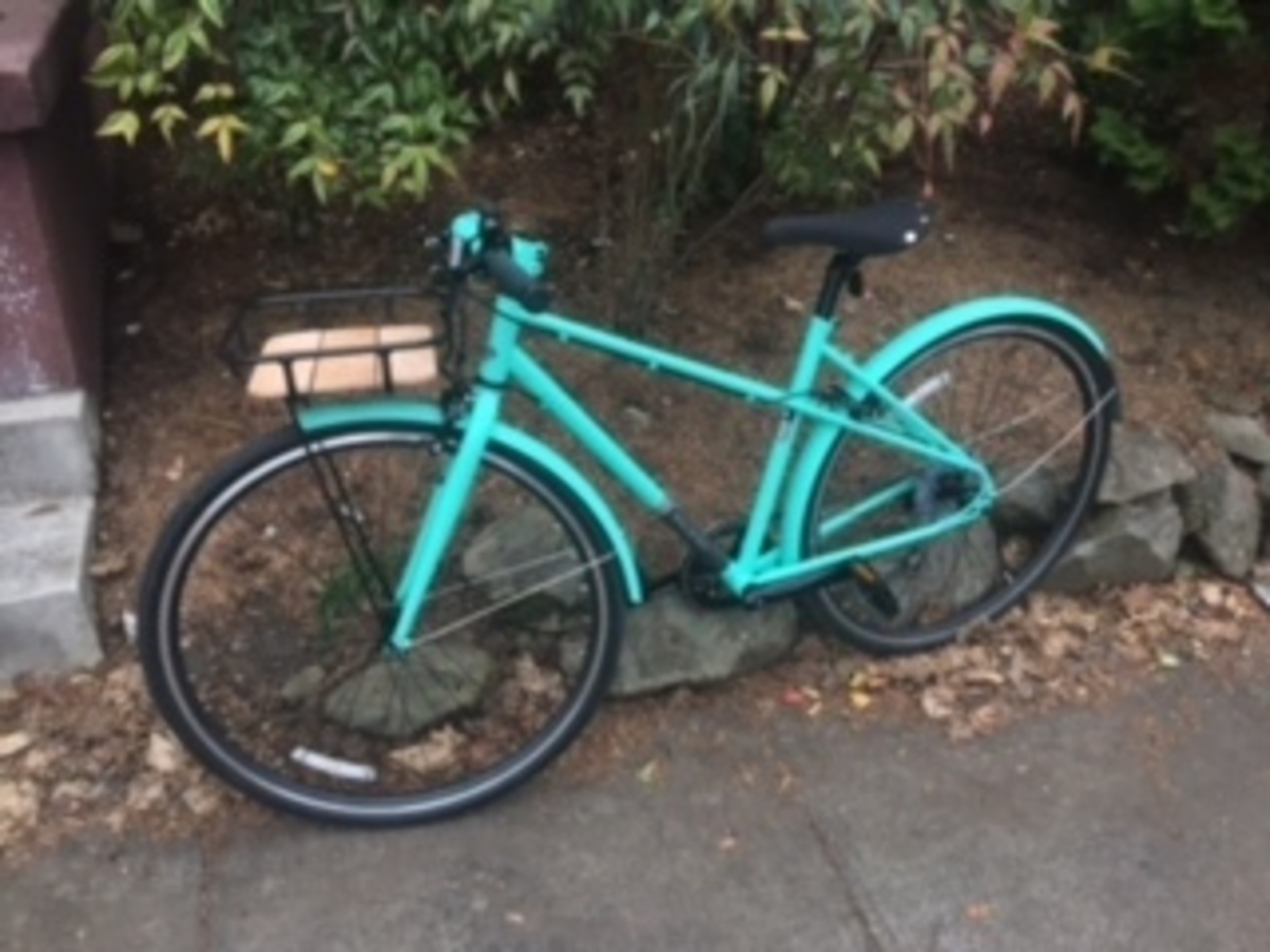 2018 Raleigh Carlton Mixte 8