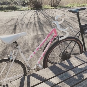 Francesco Moser Elite White