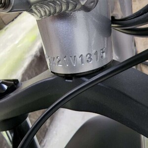 Rad Power Bikes Rad Runner Silver, gray or bare metal, Black, and Brown