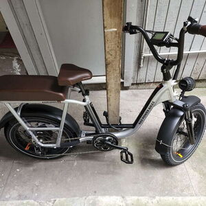 Rad Power Bikes Rad Runner Silver, gray or bare metal, Black, and Brown