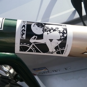 Schwinn Sierra Silver or Gray