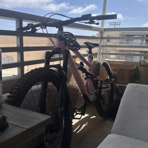 2026 Specialized Status 140 Pink and Silver, gray or bare metal