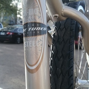 Schwinn Sierra Silver or Gray