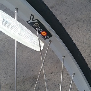 Schwinn Sierra Silver or Gray
