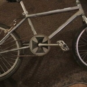 1987 Diamondback Hotstreak Silver, gray or bare metal