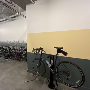 2021 REI Co-op ADV 1.1 Blue