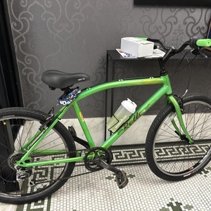 Bianchi Rollo Green