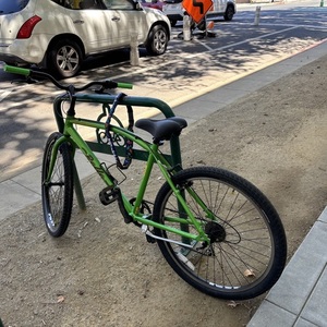 Bianchi Rollo Green
