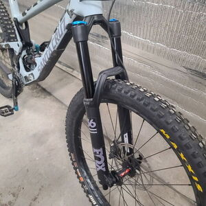 Santa Cruz Bronson Silver, gray or bare metal