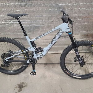 Santa Cruz Bronson Silver, gray or bare metal