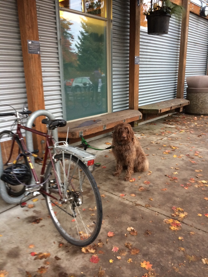Bike photo