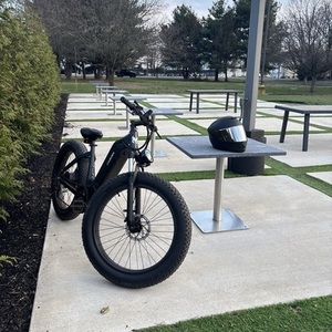 2026 Cycrown Cycverve Black