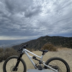 2025 Specialized Status 2 Silver, gray or bare metal
