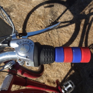2012 Specialized Daily 1 Step-Through Red