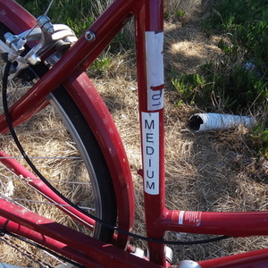 2012 Specialized Daily 1 Step-Through Red