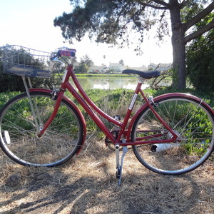 2012 Specialized Daily 1 Step-Through Red